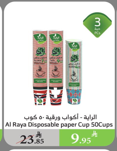 Cup available at Al Raya in KSA, Saudi Arabia, Saudi - Ta'if