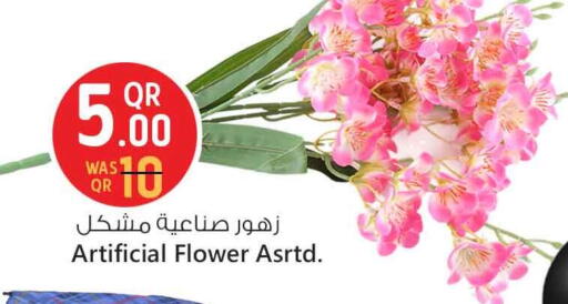 available at Safari Hypermarket in Qatar - Al Shamal