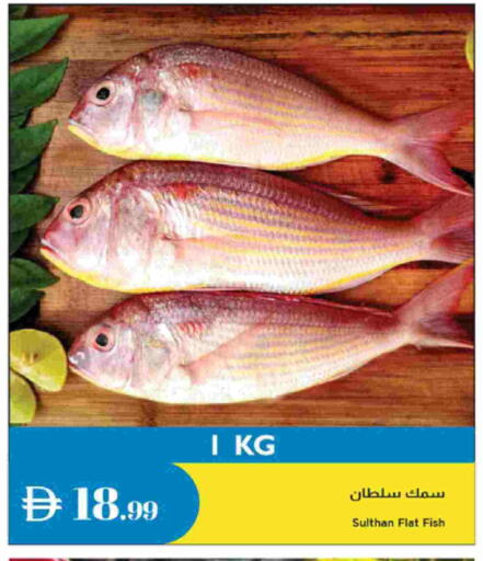 available at إسطنبول سوبرماركت in الإمارات العربية المتحدة , الامارات - الشارقة / عجمان
