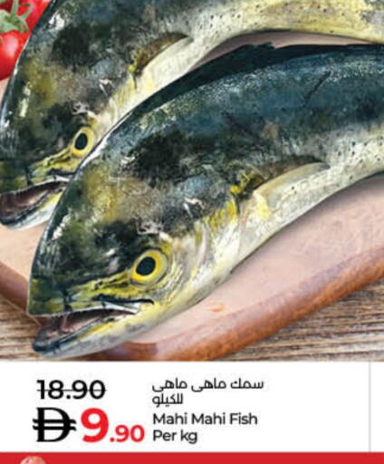 available at Lulu Hypermarket in UAE - Sharjah / Ajman