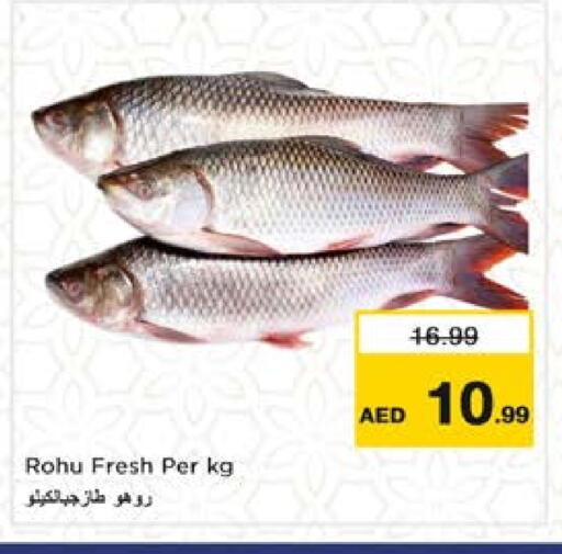 available at نستو هايبرماركت in الإمارات العربية المتحدة , الامارات - أم القيوين‎