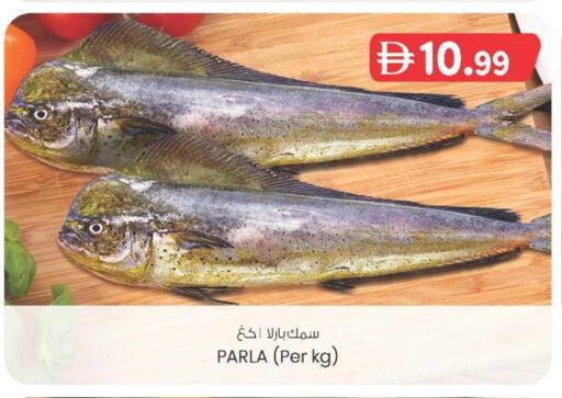 available at K M Trading  in UAE - Sharjah / Ajman