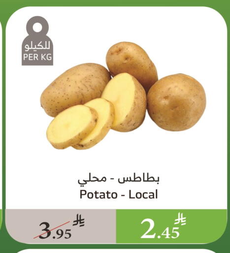 Potato available at Al Raya in KSA, Saudi Arabia, Saudi - Bishah