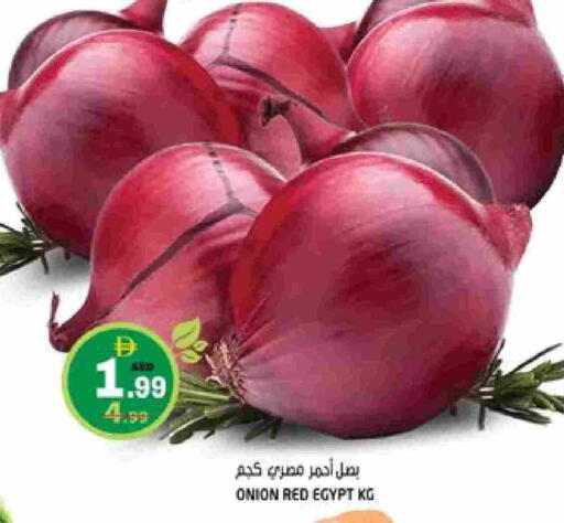 بصل from Egypt available at هاشم هايبرماركت in الإمارات العربية المتحدة , الامارات - الشارقة / عجمان