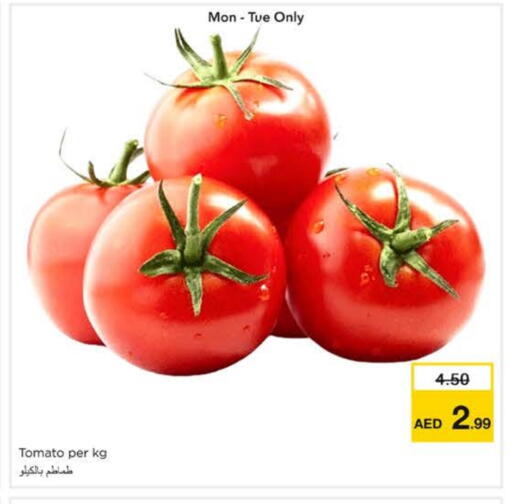 Tomato available at Nesto Hypermarket in UAE - Sharjah / Ajman