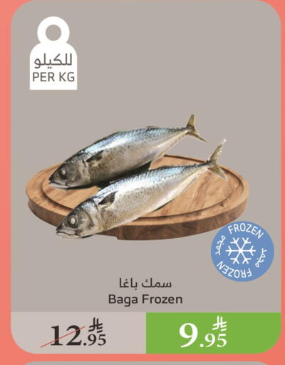 available at الراية in مملكة العربية السعودية, السعودية, سعودية - الطائف