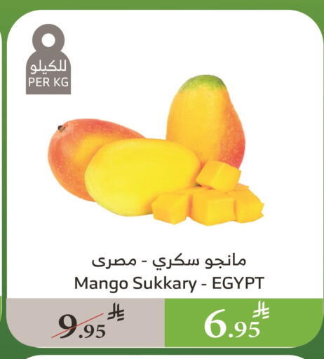 Mangoes from Egypt available at Al Raya in KSA, Saudi Arabia, Saudi - Jazan