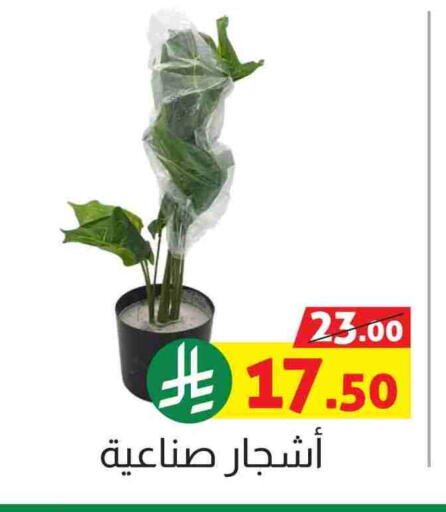 available at Offers Hall in KSA, Saudi Arabia, Saudi - Khamis Mushait
