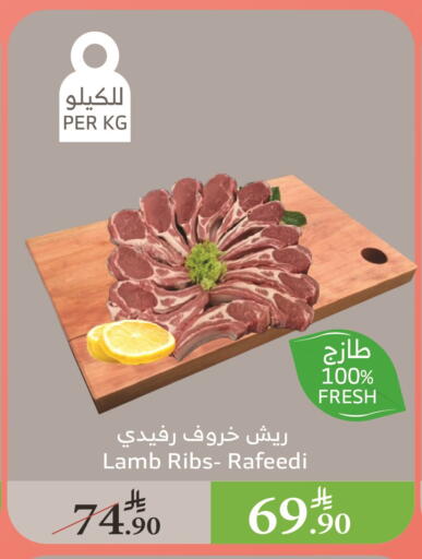 لحم الضأن / الغنم available at الراية in مملكة العربية السعودية, السعودية, سعودية - جازان