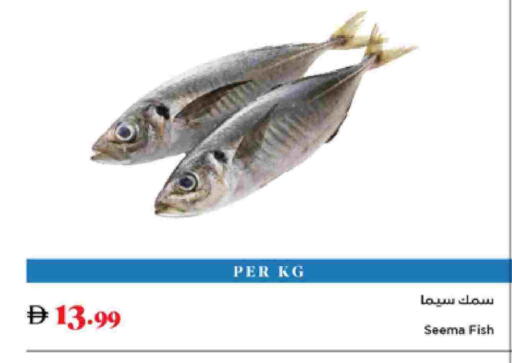 available at تروليز سوبرماركت in الإمارات العربية المتحدة , الامارات - الشارقة / عجمان
