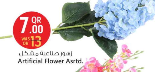 available at Safari Hypermarket in Qatar - Al Shamal
