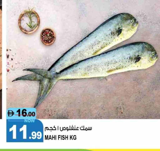 available at هاشم هايبرماركت in الإمارات العربية المتحدة , الامارات - الشارقة / عجمان