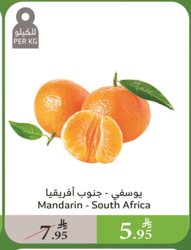 Orange from South Africa available at Al Raya in KSA, Saudi Arabia, Saudi - Abha