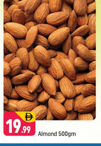 available at Shaklan  in UAE - Dubai