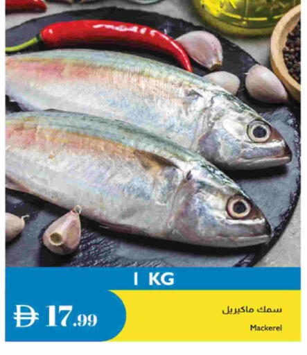 available at إسطنبول سوبرماركت in الإمارات العربية المتحدة , الامارات - الشارقة / عجمان