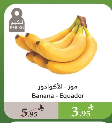 موز available at الراية in مملكة العربية السعودية, السعودية, سعودية - الطائف