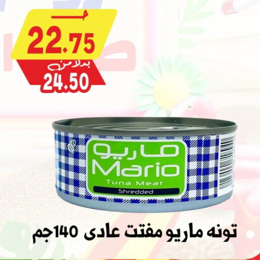 Tuna - Canned available at Bondok Market  in Egypt - Cairo