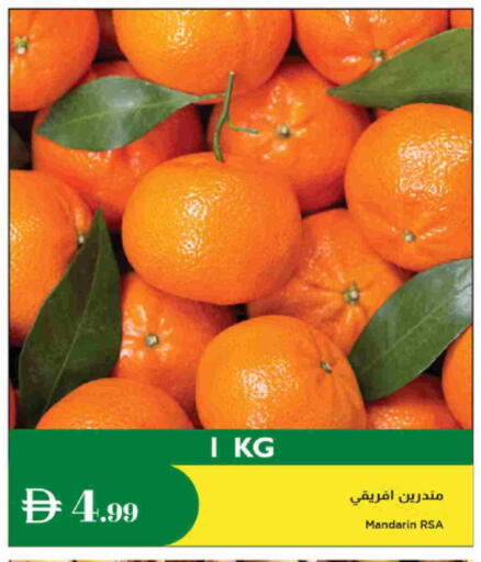 Orange available at Istanbul Supermarket in UAE - Al Ain