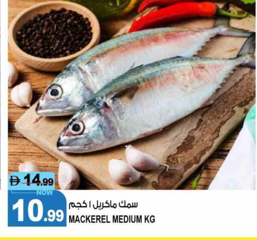 available at هاشم هايبرماركت in الإمارات العربية المتحدة , الامارات - الشارقة / عجمان