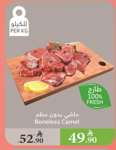 لحم حاشي available at الراية in مملكة العربية السعودية, السعودية, سعودية - تبوك