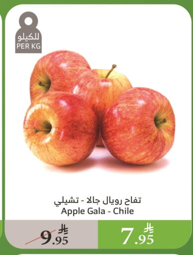 Apples from Chile available at Al Raya in KSA, Saudi Arabia, Saudi - Al Qunfudhah