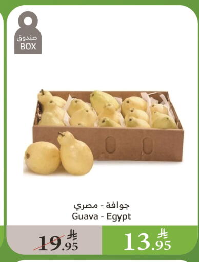 Guava from Egypt available at Al Raya in KSA, Saudi Arabia, Saudi - Abha