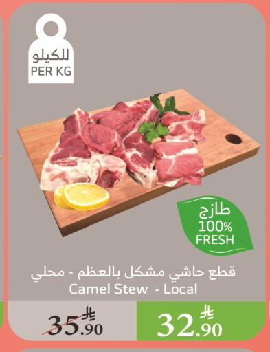 لحم حاشي available at الراية in مملكة العربية السعودية, السعودية, سعودية - تبوك