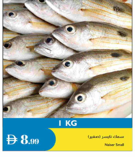 available at إسطنبول سوبرماركت in الإمارات العربية المتحدة , الامارات - الشارقة / عجمان
