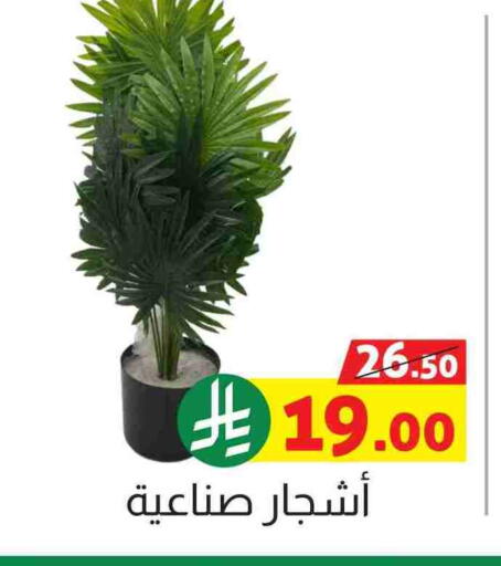 available at Offers Hall in KSA, Saudi Arabia, Saudi - Khamis Mushait