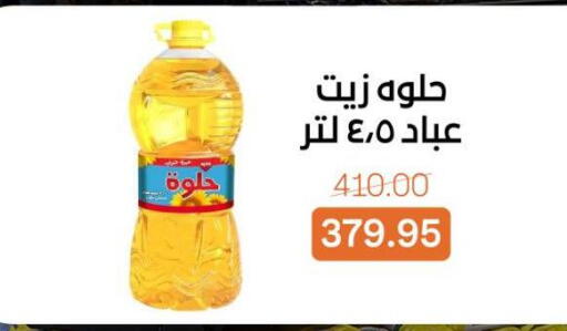 available at Beit El Gomla in Egypt - Cairo