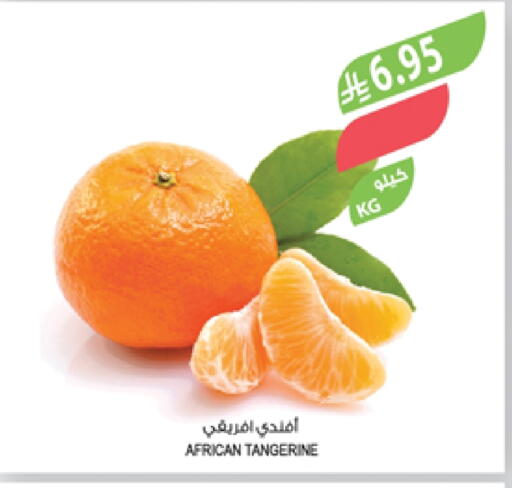 Orange available at Farm  in KSA, Saudi Arabia, Saudi - Abha