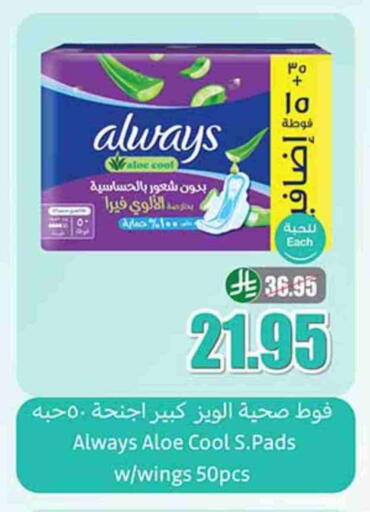 ألويز available at أسواق عبد الله العثيم in مملكة العربية السعودية, السعودية, سعودية - رفحاء