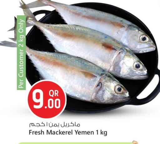 available at سفاري هايبر ماركت in قطر - أم صلال