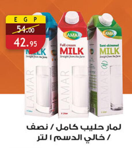 أرز لزج available at الرايه  ماركت in Egypt - القاهرة
