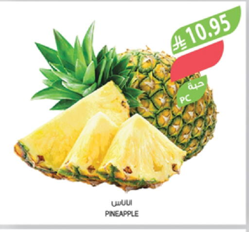 Pineapple available at Farm  in KSA, Saudi Arabia, Saudi - Sakaka