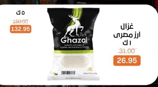 Calrose Rice available at Beit El Gomla in Egypt - Cairo