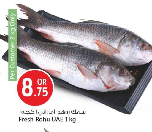 available at سفاري هايبر ماركت in قطر - أم صلال