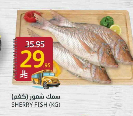 available at AlJazera Shopping Center in KSA, Saudi Arabia, Saudi - Riyadh