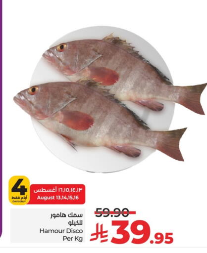 available at لولو هايبرماركت in مملكة العربية السعودية, السعودية, سعودية - حائل‎