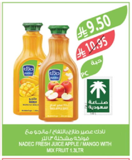 NADEC available at Farm  in KSA, Saudi Arabia, Saudi - Jazan