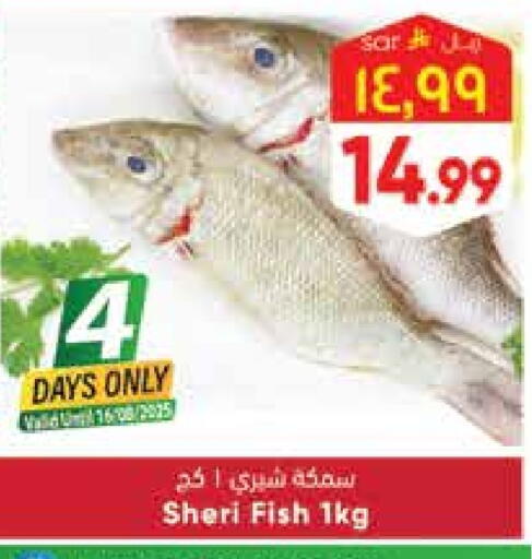available at ستي فلاور in مملكة العربية السعودية, السعودية, سعودية - حائل‎