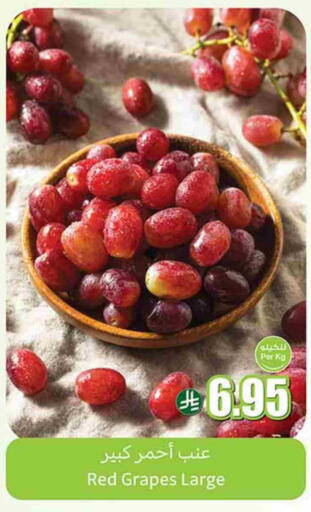 Grapes available at Othaim Markets in KSA, Saudi Arabia, Saudi - Rafha
