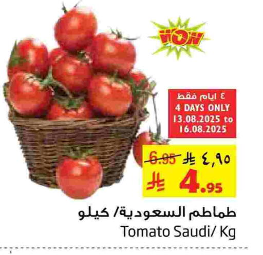Tomato from Saudi Arabia available at Layan Hyper in KSA, Saudi Arabia, Saudi - Dammam