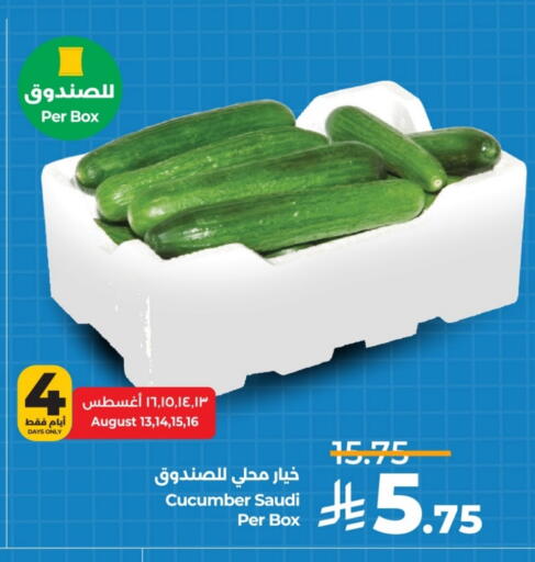 Cucumber from Saudi Arabia available at LULU Hypermarket in KSA, Saudi Arabia, Saudi - Al-Kharj