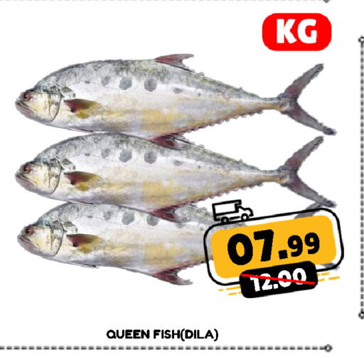 available at ROYAL GULF HYPERMARKET LLC in UAE - Abu Dhabi