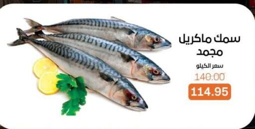 available at Beit El Gomla in Egypt - Cairo