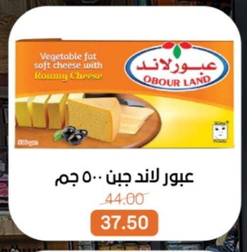 جبنة رومي available at بيت الجملة in Egypt - القاهرة