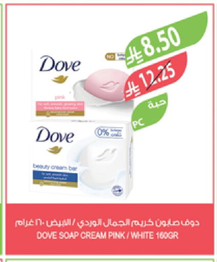 DOVE available at Farm  in KSA, Saudi Arabia, Saudi - Al Khobar