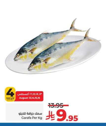 available at لولو هايبرماركت in مملكة العربية السعودية, السعودية, سعودية - حائل‎