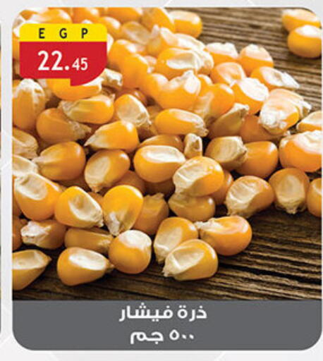 available at الرايه  ماركت in Egypt - القاهرة